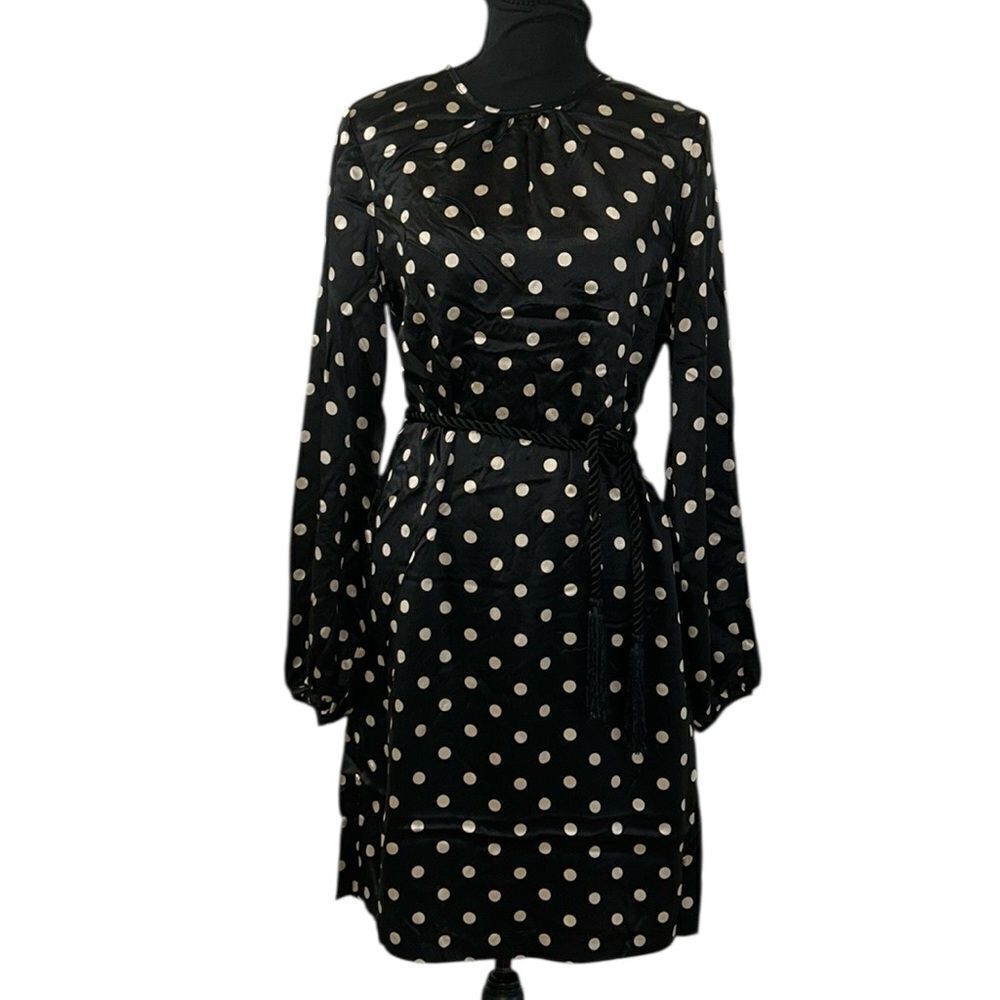 Elizabeth McKay Polka Dot Tie Waist Mini Silk Dress(Size 4)